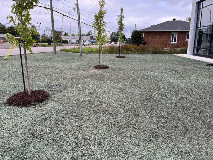 La solution idéale pour les grandes surfaces commerciales