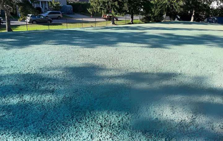 ensemencement espaces publics Saint-Isidore-De-Laprairie