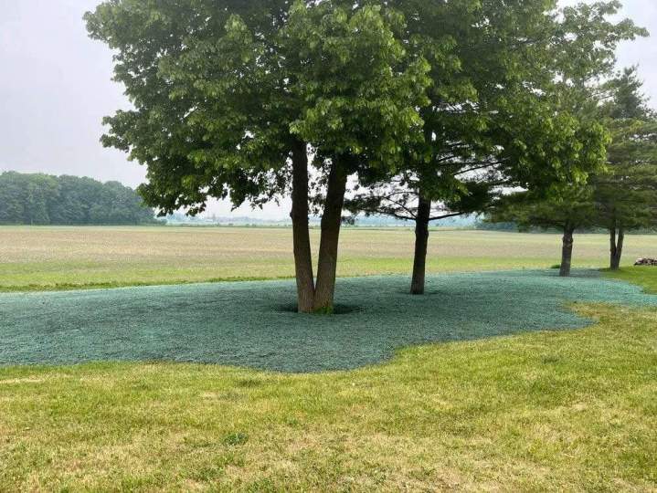 Une approche efficace pour les espaces verts municipaux