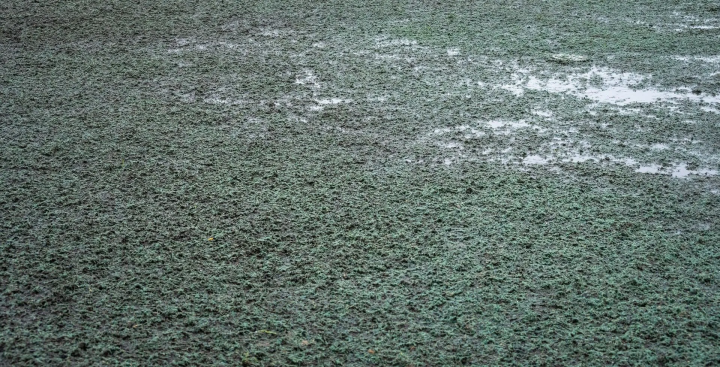 Hydro-ensemencement résidentiel Saint-Isidore-De-Laprairie