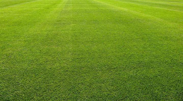 Gazon obtenu par ensemencement hydraulique Saint-Isidore-De-Laprairie